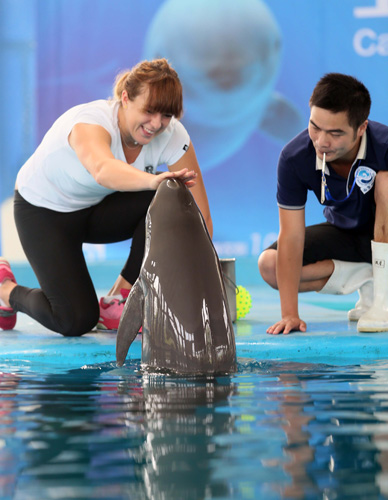 爱篮球的人 爱篮球的人