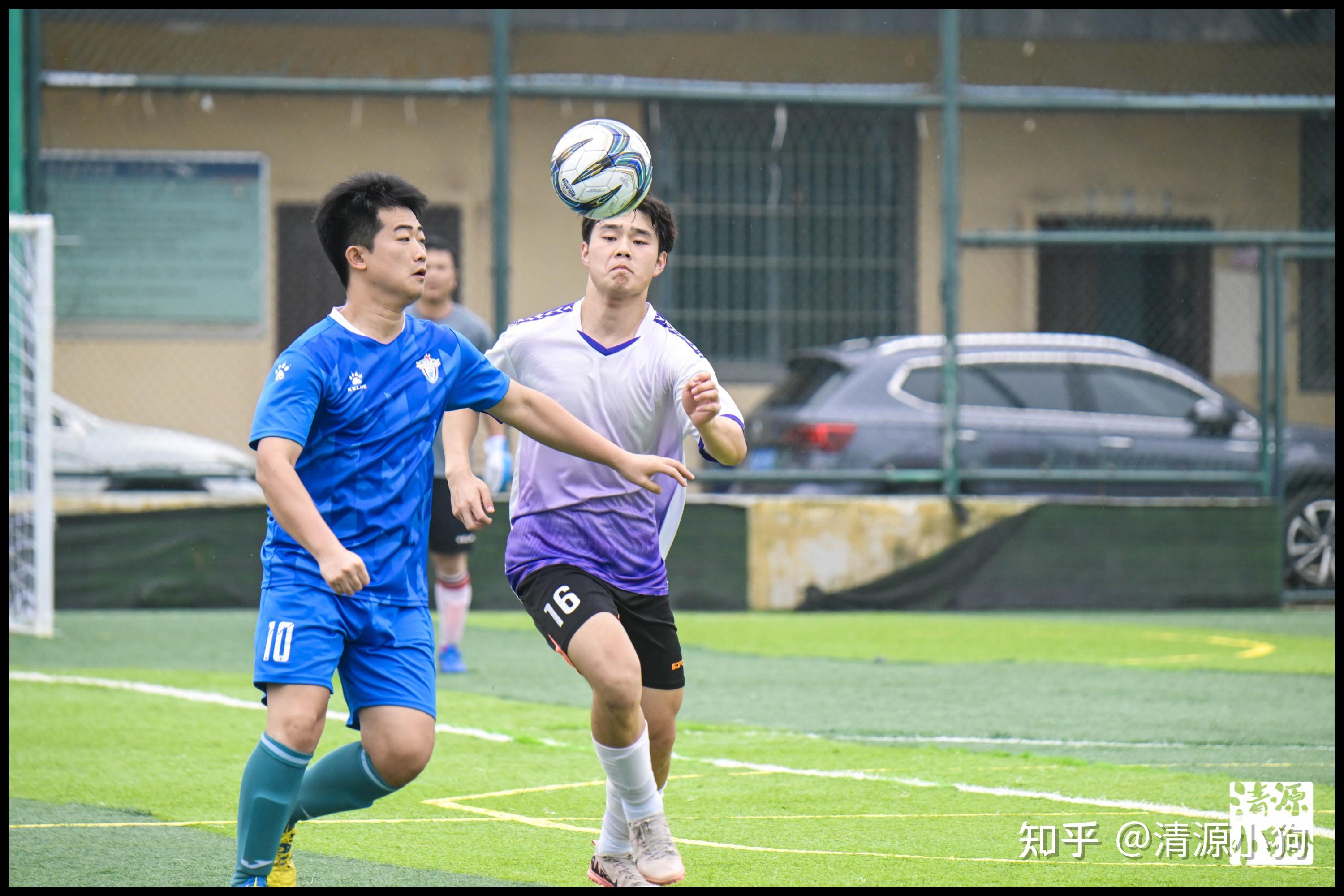 的笃定回应 的笃定回应